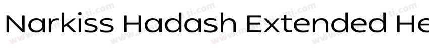 Narkiss Hadash Extended Heavy字体转换